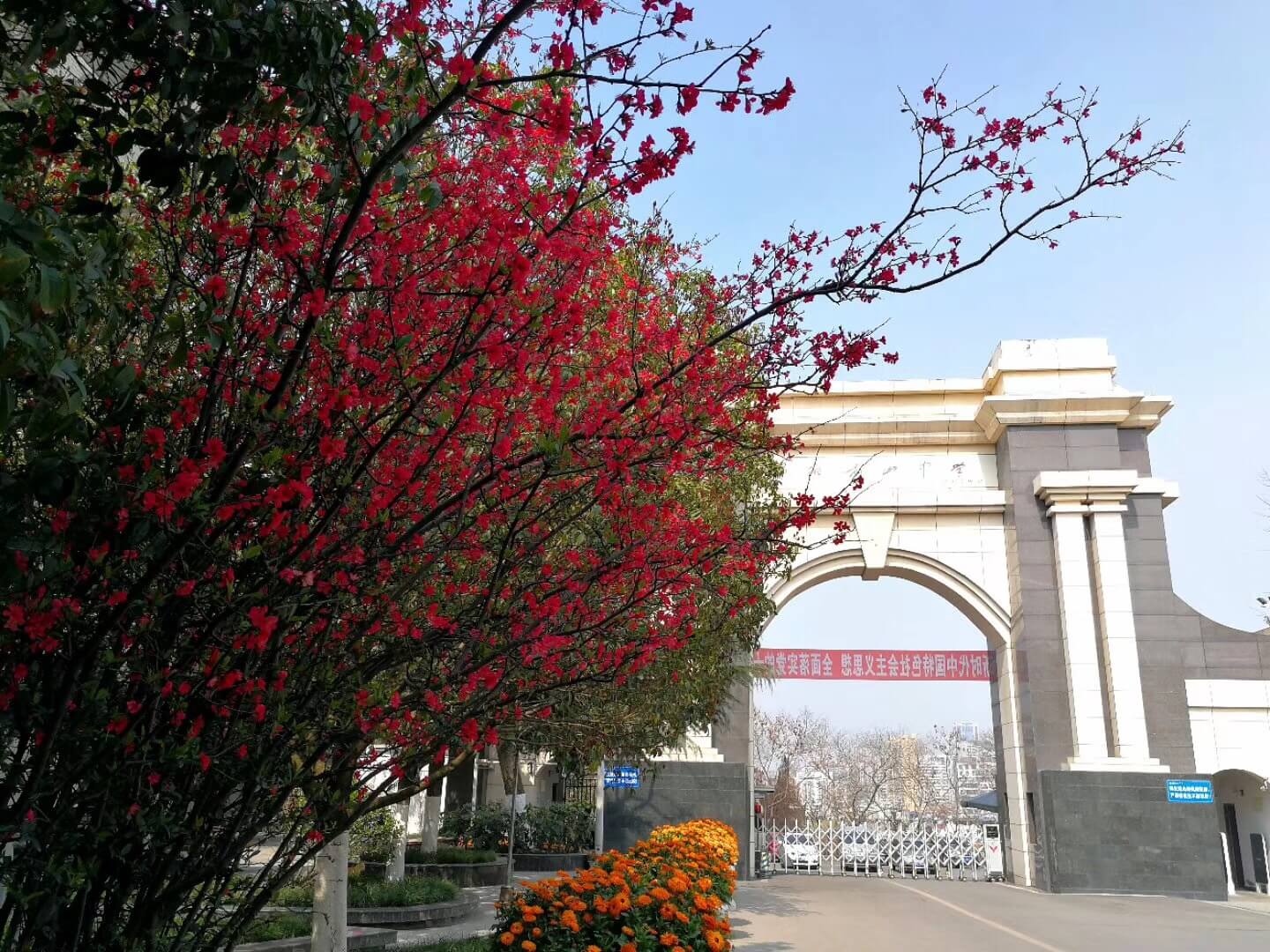 綿陽南山中學(xué)校園風(fēng)采