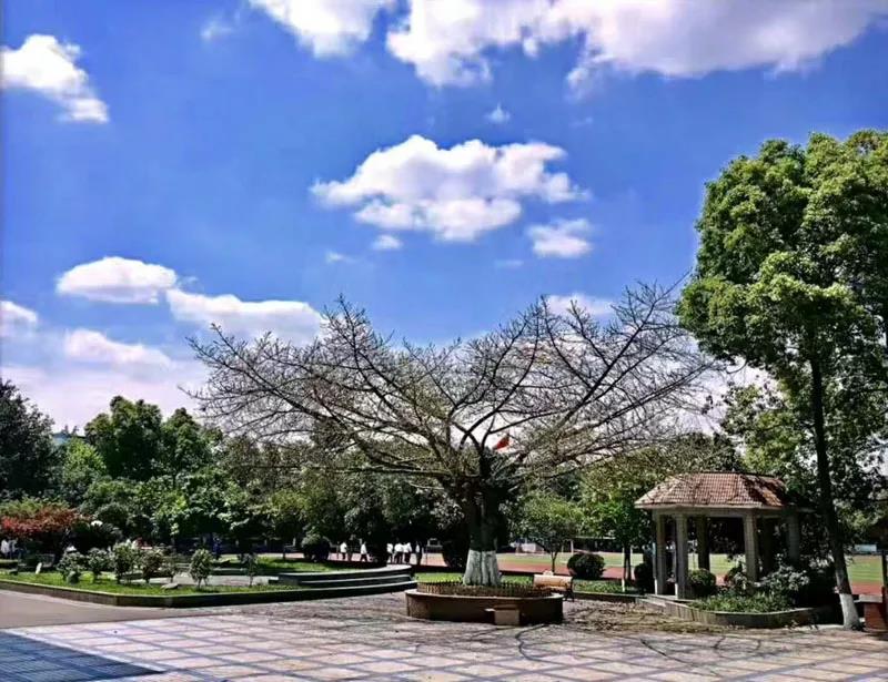 成都市鹽道街中學外語學校校園風采