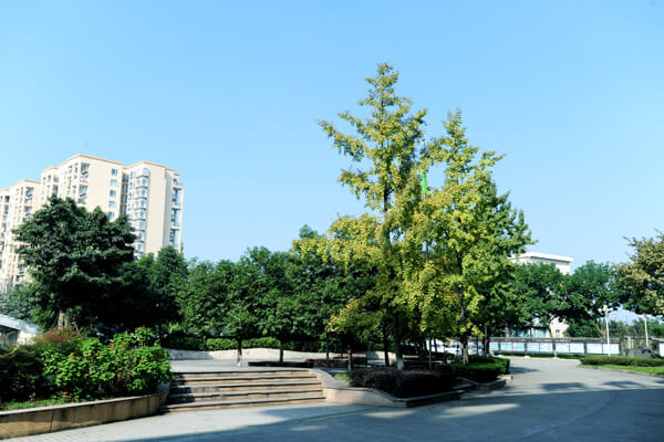 棠湖外國(guó)語(yǔ)實(shí)驗(yàn)學(xué)校校園風(fēng)采