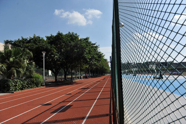 棠湖外國語實驗學校校園風采