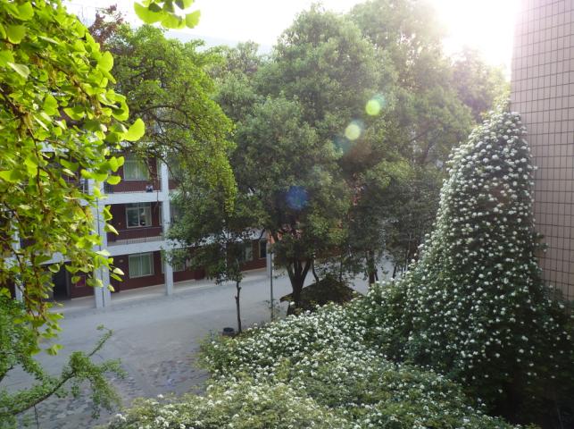 石室聯(lián)合中學(xué)蜀華分校怎么樣？