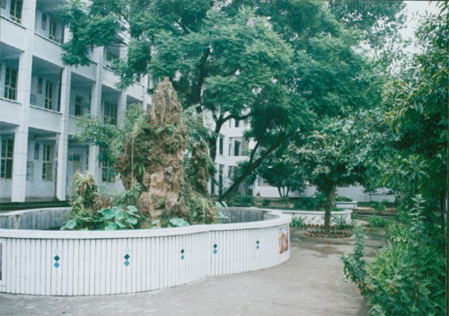 內(nèi)江十三中地址在哪？