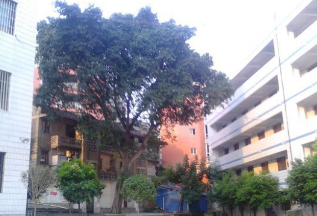 資中縣太平中學地理位置在哪里？