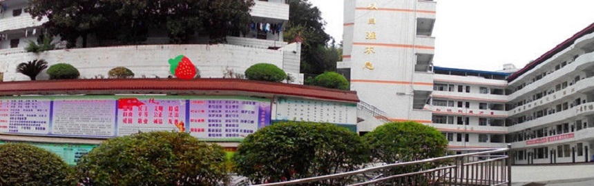 三星中學近幾年中考錄取分數線是多少？
