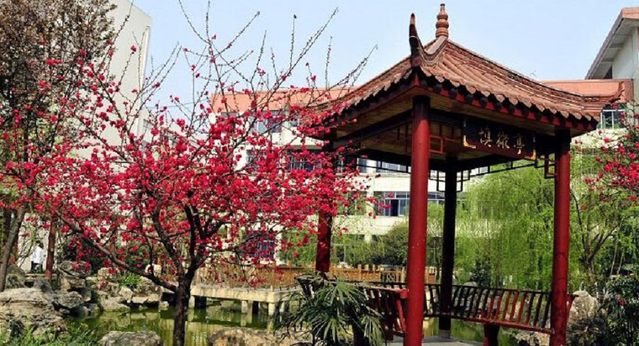 蜀城中學(xué)2020年中考錄取分?jǐn)?shù)線是多少？