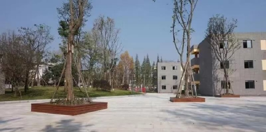 成都綿實(shí)外國語學(xué)校2019年招生公告公布了嗎？