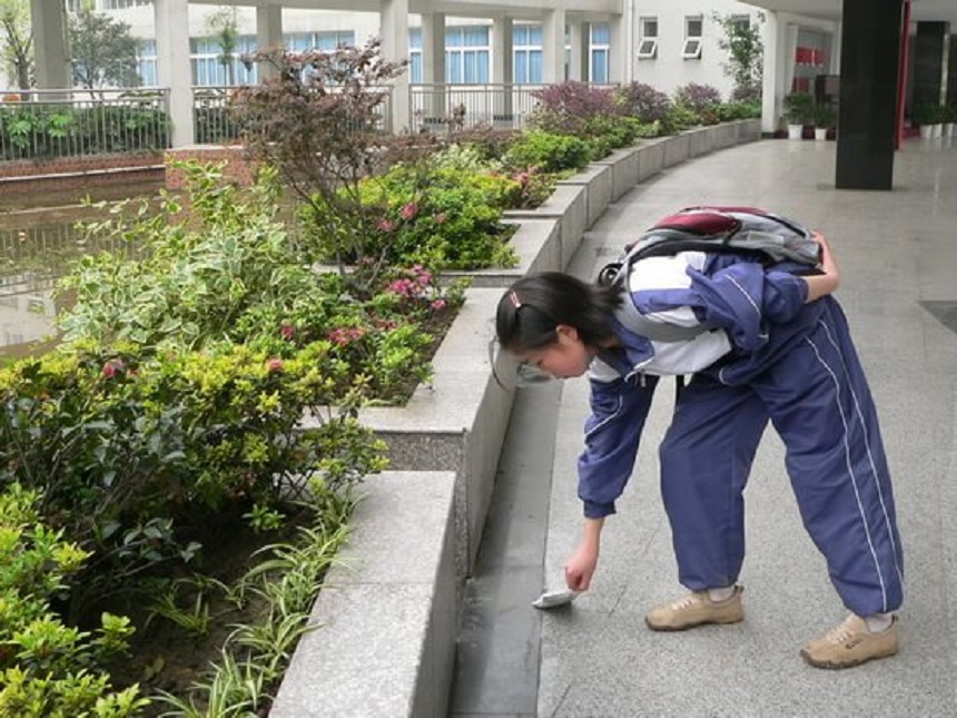 龍泉中學網址鏈接是什么？