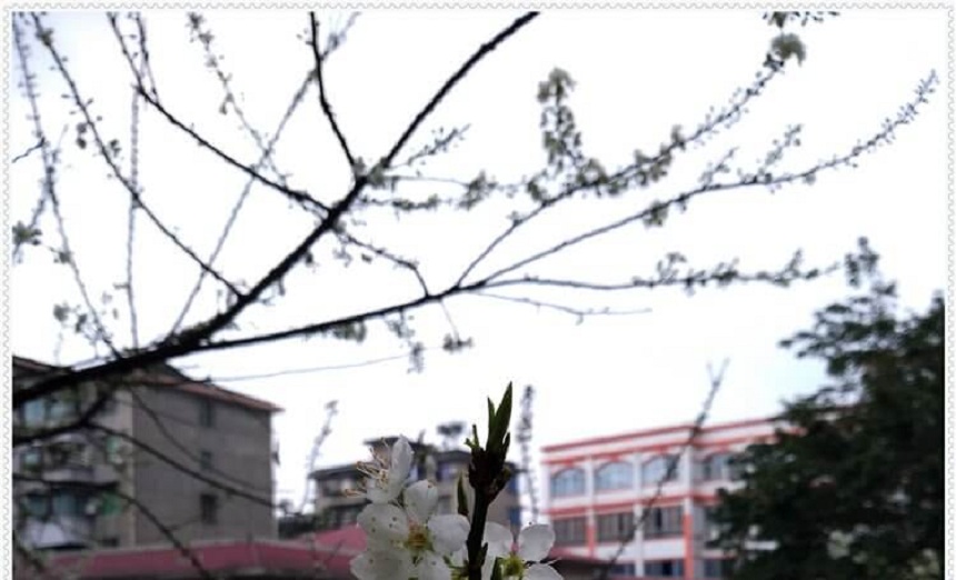 洪雅中學(xué)是一所公辦高中學(xué)嗎？