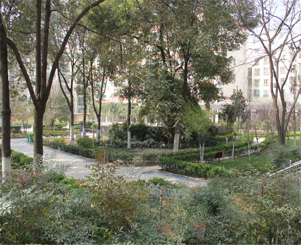 寶輪中學(xué)詳細(xì)地址在什么地方？