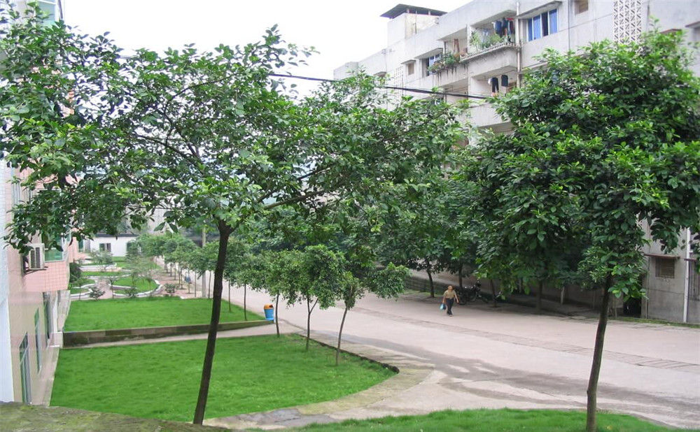瀘州市納溪區(qū)護國中學(xué)地址在哪里？