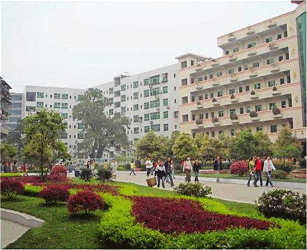 渠縣第二中學(xué)學(xué)校2020年的錄取分?jǐn)?shù)公布了嗎？