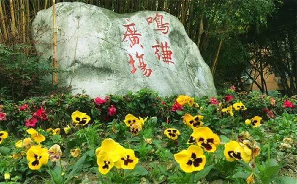 遂寧中學(xué)外國語實(shí)驗(yàn)學(xué)校的招生電話是多少？