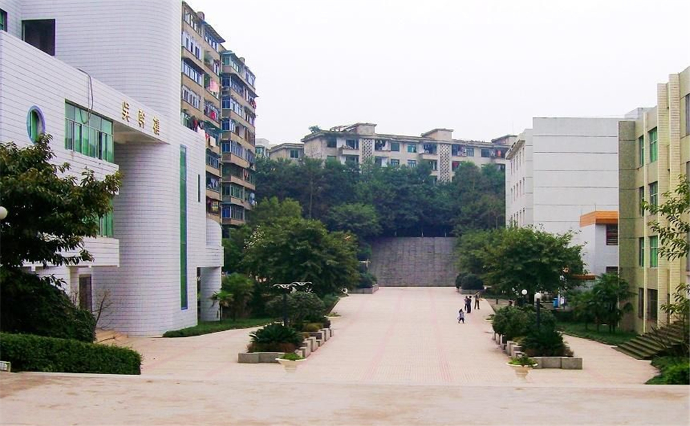 鄰水實(shí)驗(yàn)學(xué)校2020年的招生簡(jiǎn)章公布了嗎？