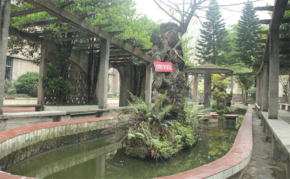 內(nèi)江鐵路中學(xué)學(xué)校環(huán)境怎么樣？