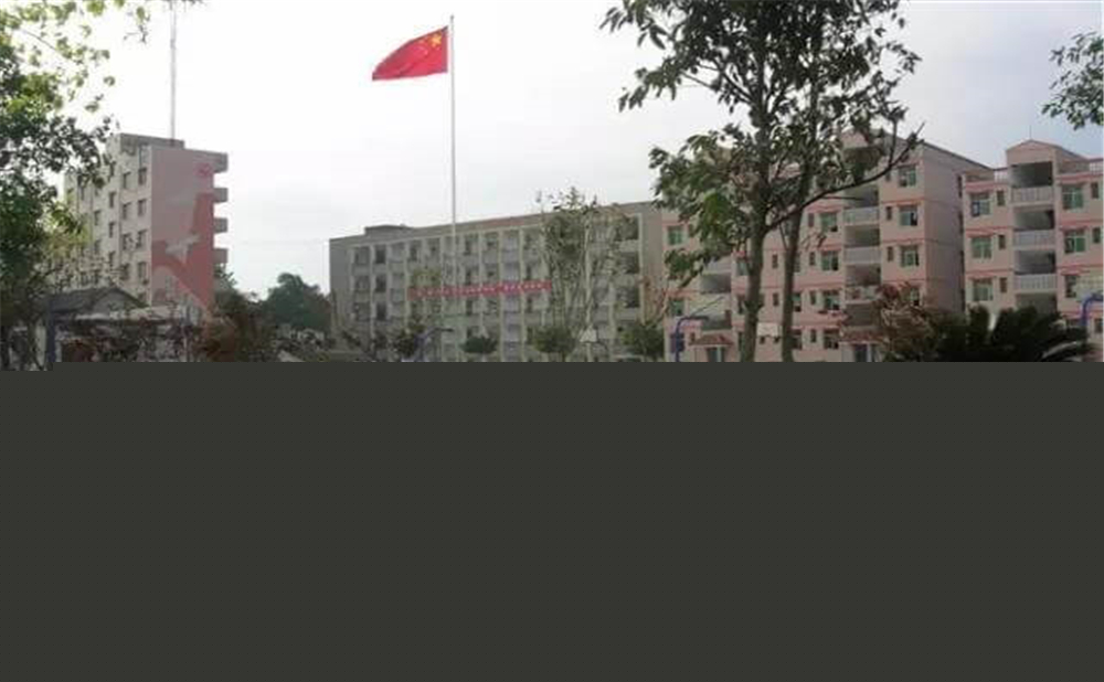 內(nèi)江市第十一中學(xué)學(xué)校環(huán)境怎么樣？