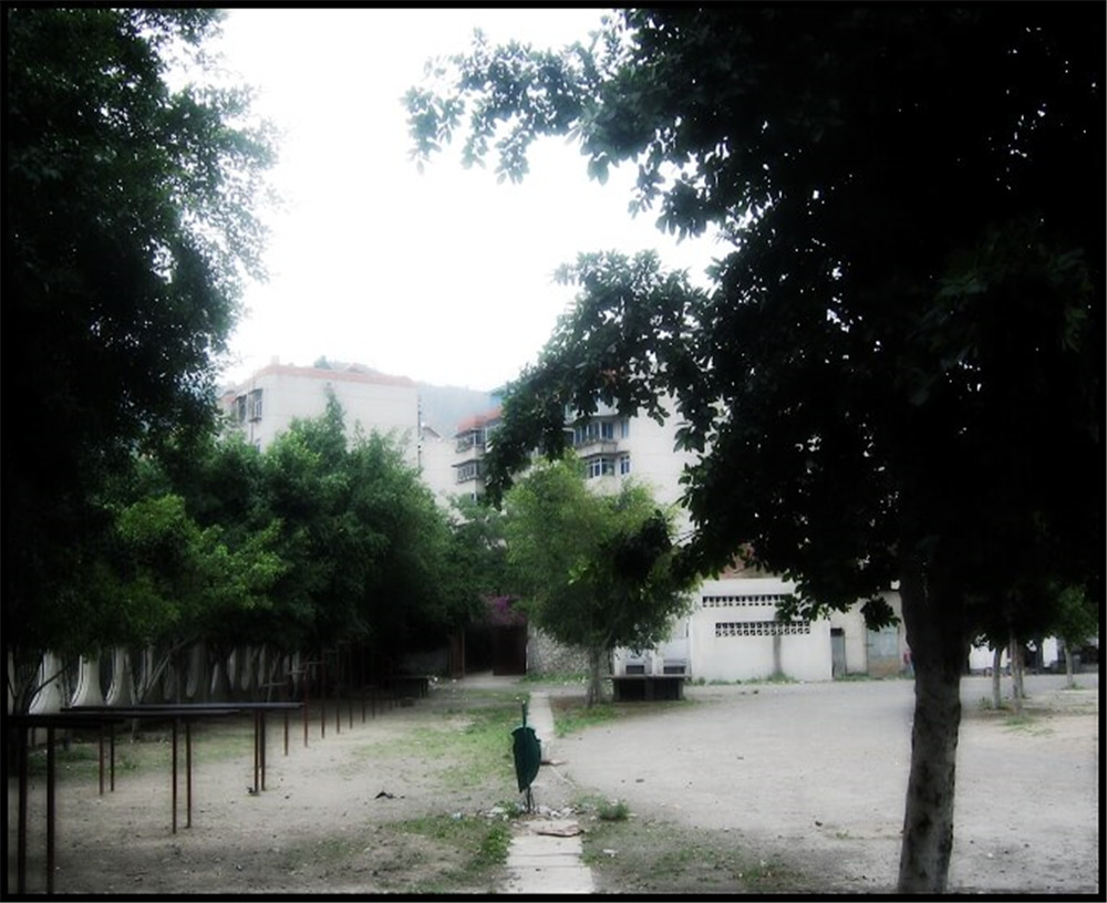 攀枝花市延邊縣中學校招辦電話是多少？