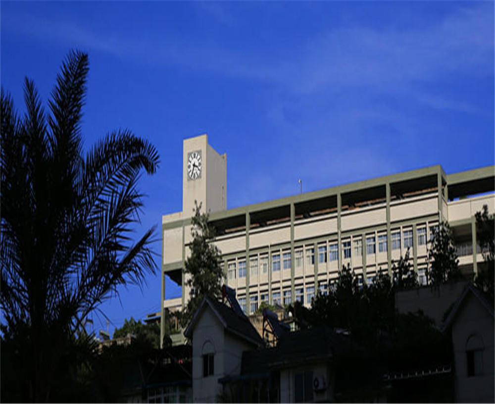 攀枝花市第十五中學(xué)學(xué)校詳細(xì)地址在什么地方？