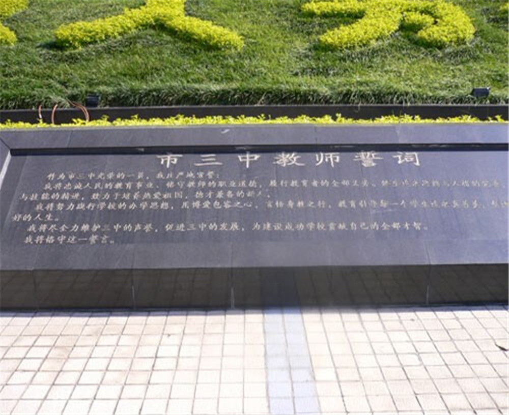 攀枝花市第三高級中學(xué)校2020年招生計劃公布了嗎？
