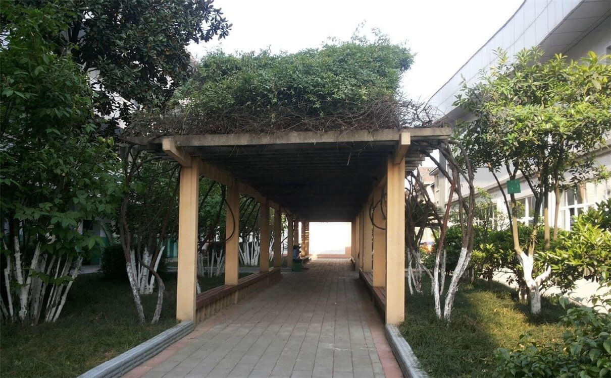 通錦中學(xué)的高中怎么樣？