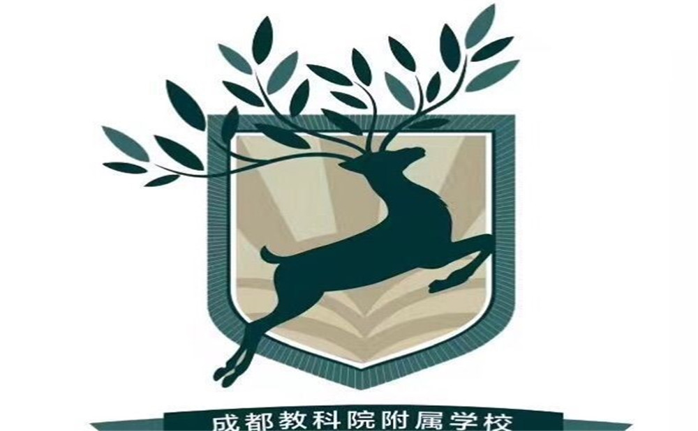 成都教科院附屬學校2020年的招生計劃發(fā)布了嗎？