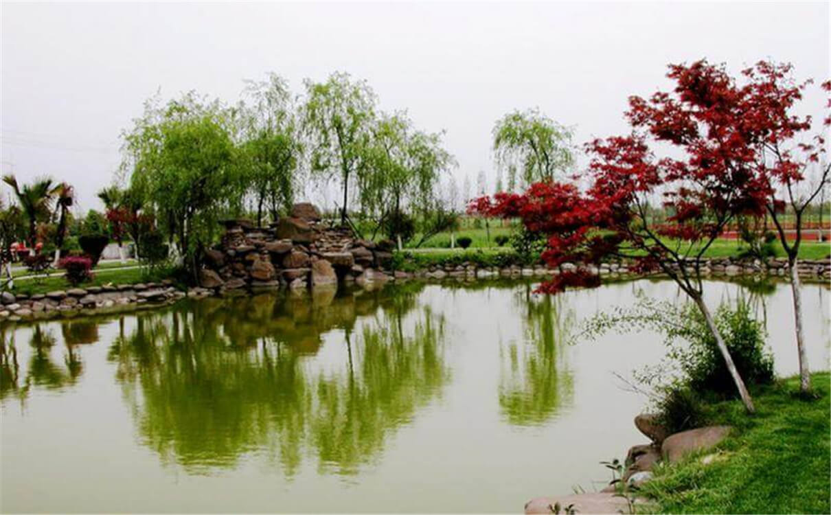 成都七中實(shí)驗(yàn)學(xué)校高中部的錄取分?jǐn)?shù)是多少？