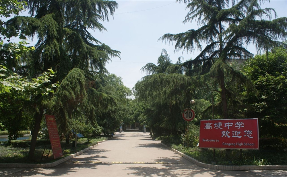 高埂中學(xué)的升學(xué)率怎么樣？