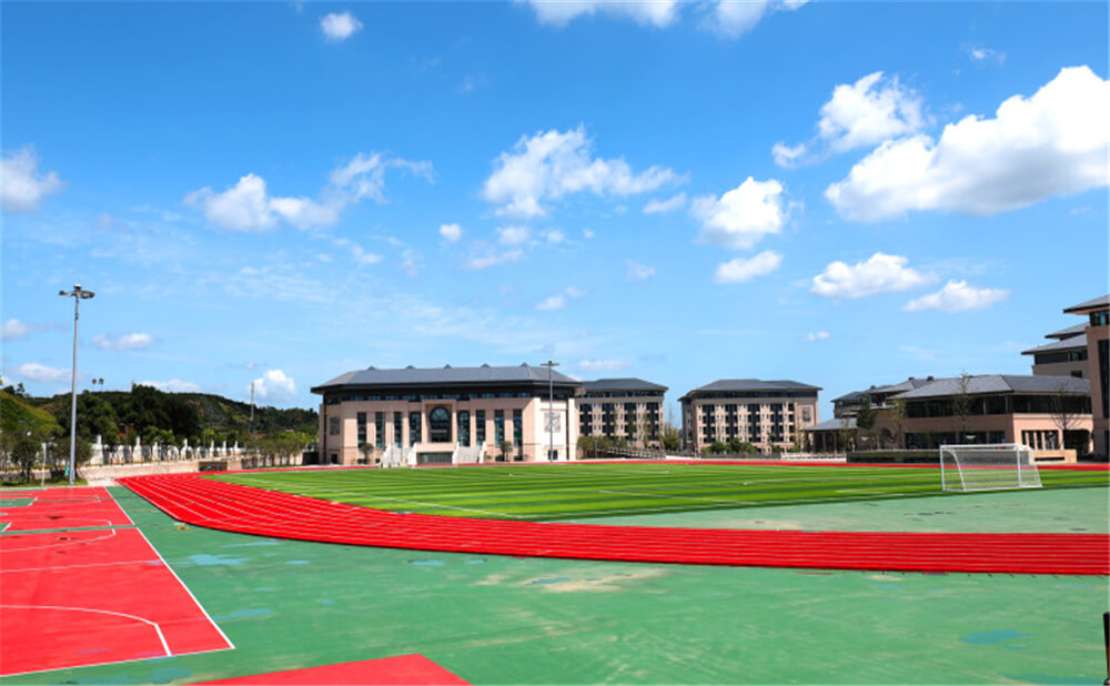蒲江中學(xué)2020年招生錄取分?jǐn)?shù)線是多少？