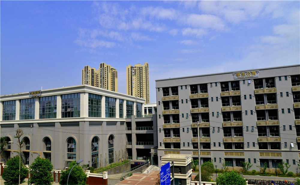 成都市第四十九中學去年的錄取分數(shù)是多少？