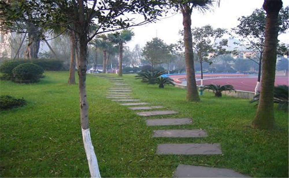 成都石室佳興外國語學(xué)校外招生一年的學(xué)費(fèi)是多少錢？