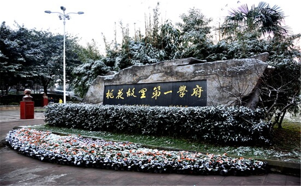 成都市龍泉中學(xué)的高考升學(xué)率是多少？
