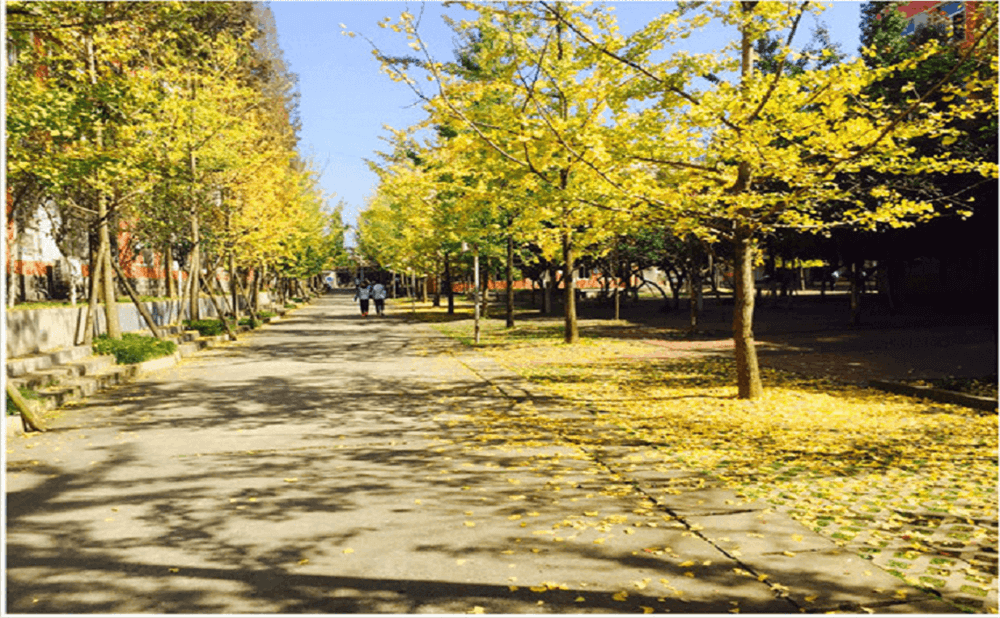 大邑中學(xué)2020年招生標準在哪兒看？