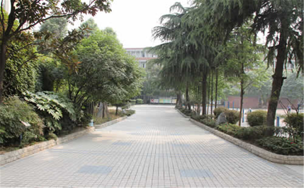 成都列五中學(xué)的學(xué)費(fèi)是多少錢(qián)？