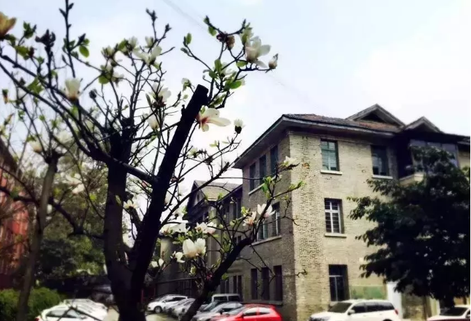 通錦中學(xué)的宿舍怎么樣？