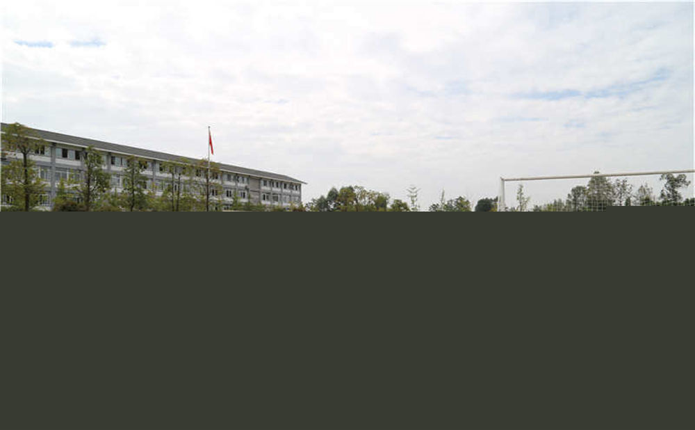 平樂中學(xué)的升學(xué)率是多少？