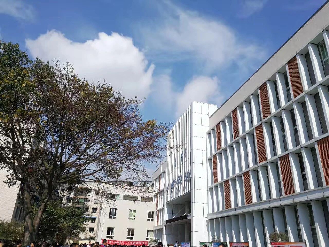 成都二十中高中一年的學(xué)費(fèi)是多少？