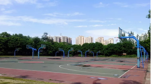 成都實驗外國語學校的本科升學率是多少？