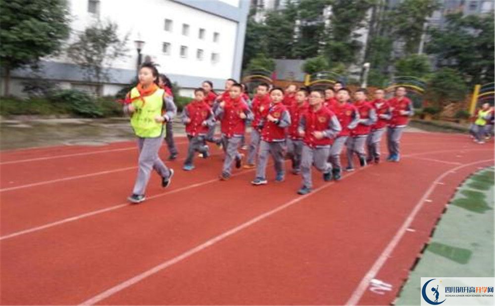 2020成都市泡桐樹(shù)中學(xué)的升學(xué)率有多少？