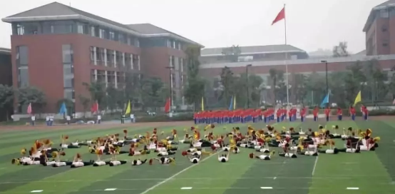 2020年成都七中高新校區(qū)的升學率有多少？