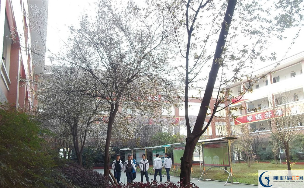 崇慶中學2020年的分數(shù)線是多少？