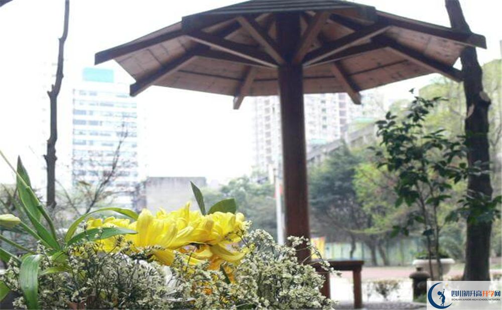 成都市石室聯(lián)中蜀華分校的高中好不好？