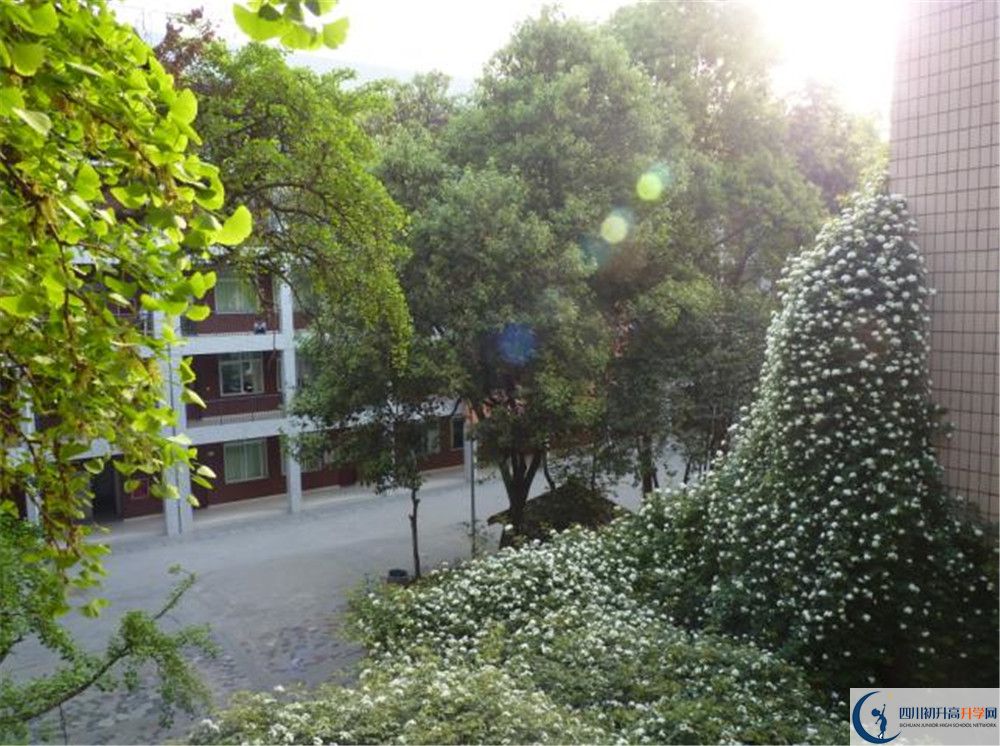 近幾年石室聯(lián)合中學(xué)蜀華分校高中錄取的分?jǐn)?shù)線？