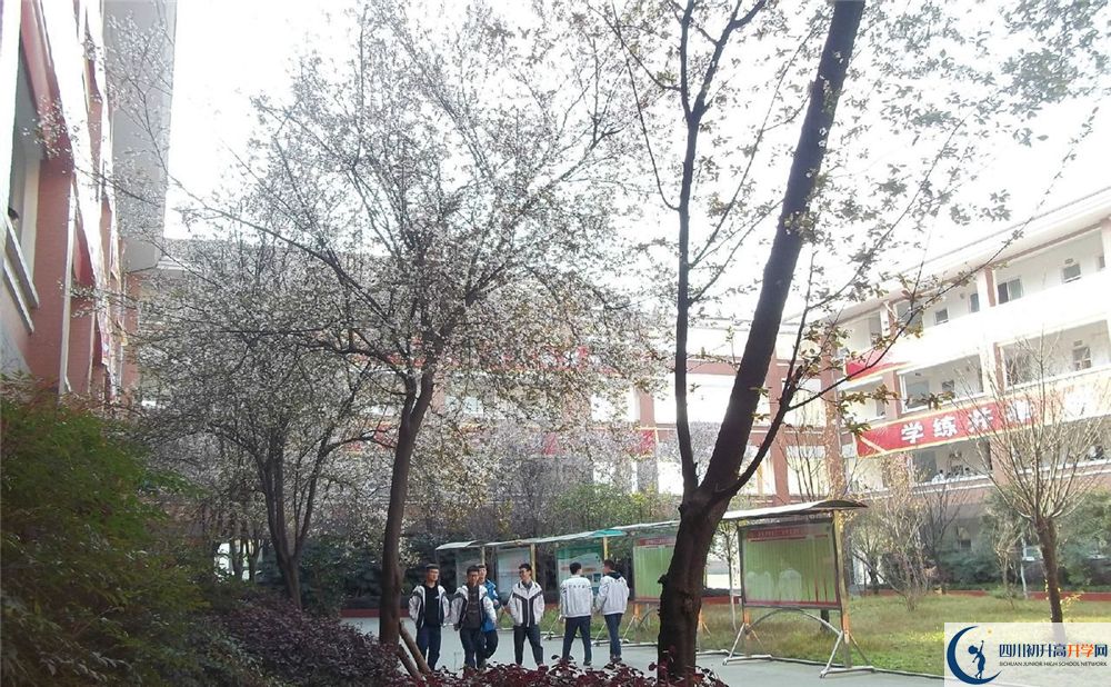 成都三十六中高中歷年來的分數(shù)線是多少分？