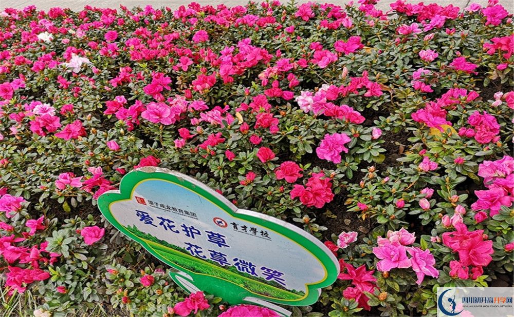 育才學(xué)校高中歷年來的分?jǐn)?shù)線是多少？