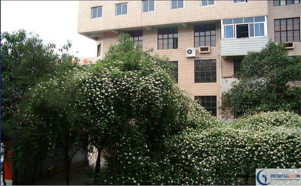 石室聯(lián)合中學(xué)蜀華分校2020年錄取條件是什么？