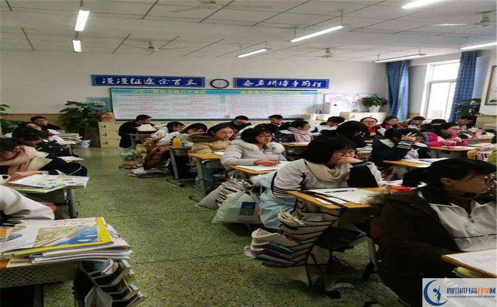 成都十二中地址在哪里？