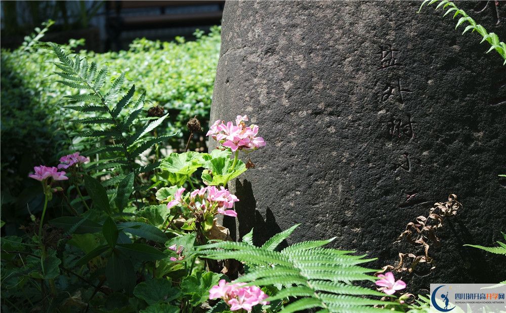 石室聯(lián)合中學(xué)蜀華分校住宿費用是多少？