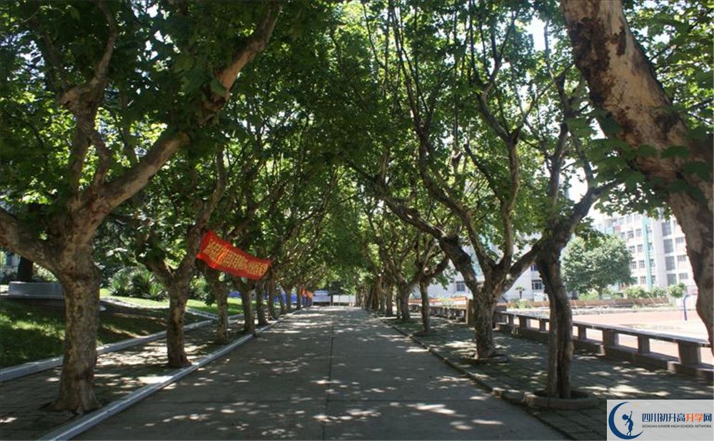 四川師范大學(xué)附屬中學(xué)初升高自主招生錄取線(xiàn)是多少？