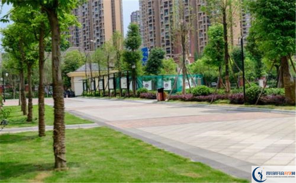 成都教科院附屬學(xué)校2020年清華北大錄取學(xué)生有多少？