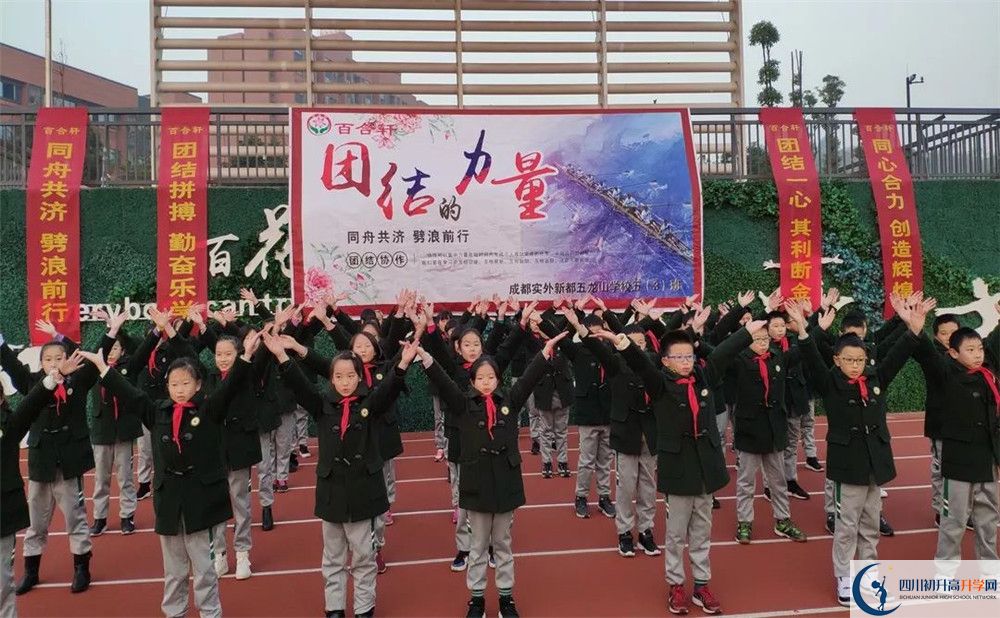 成都實外新都五龍山學(xué)校2020清華北大錄取學(xué)生是多少？
