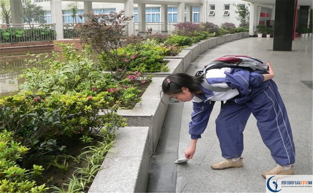成都市龍泉中學初升高向外地招生嗎？